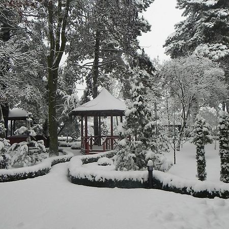 Hotel Baneasa Parc Бухарест Экстерьер фото